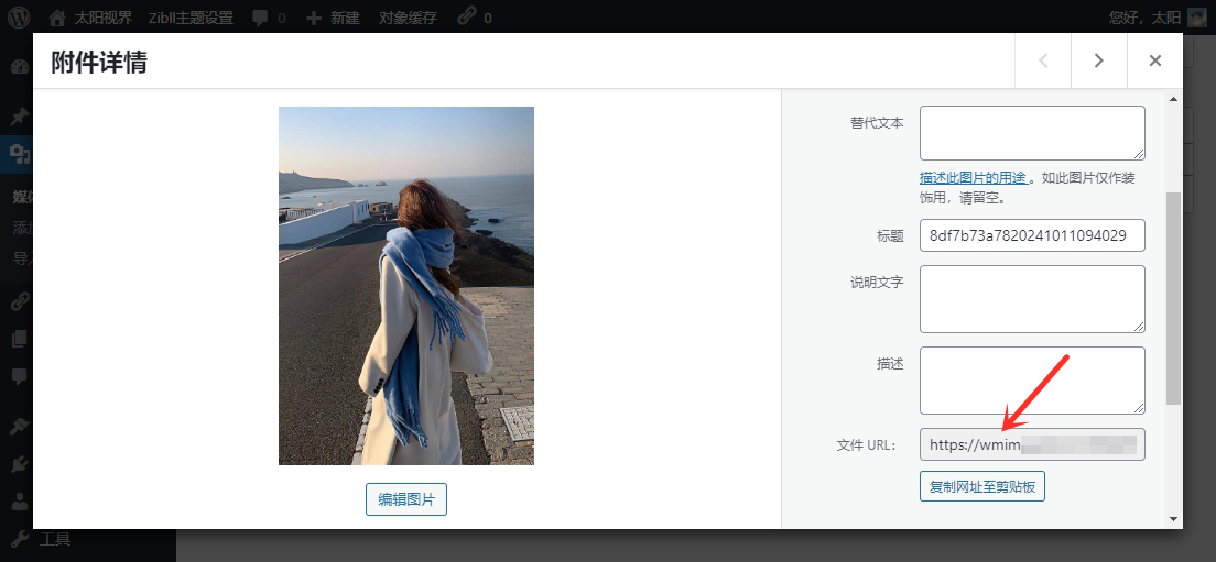 图片[2]-WordPress导入外链图片到媒体库-太阳博客